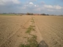chemin menant à Socx